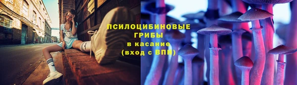 дживик Бугульма