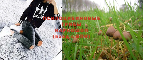mdpv Богданович