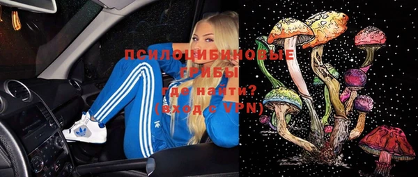 дурь Богородск