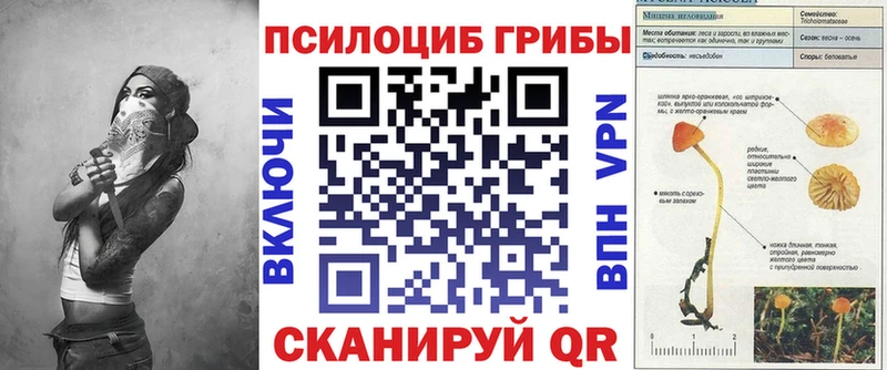 Купить где  Оха  Псилоцибиновые грибы мицелий 